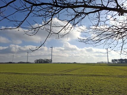 Foto de nordbergschnecke a lo largo del recorrido