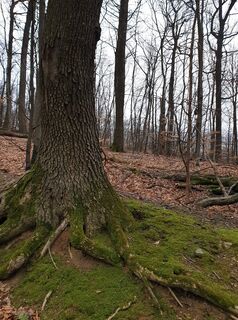 Foto de Georg B. Meier a lo largo del recorrido