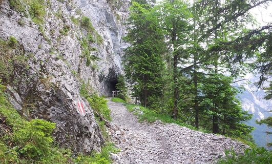Besinnungsweg mit Naturtunnel