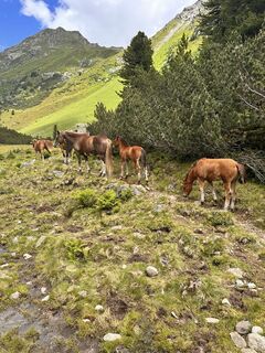 Photo de Andreas Müller le long du parcours