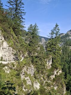 Photo de Christine Herrmann le long du parcours