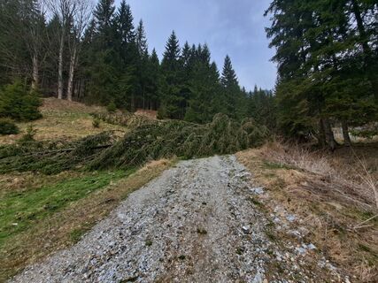 Fotografia z karin magnes na trase