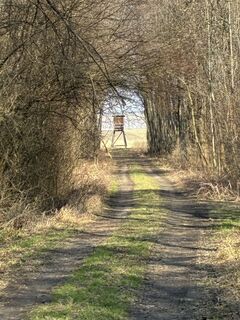 Photo de Lothar Bodingbauer le long du parcours