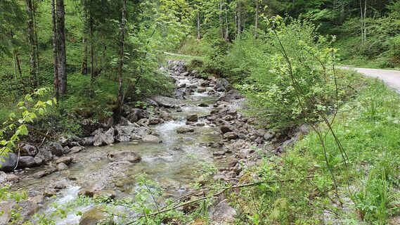 1.7 km Zlambach