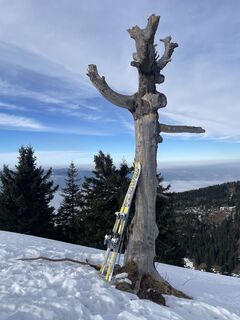 Fotografia z Andreas Rettner na trase