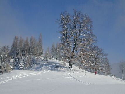 Winterlandschaft