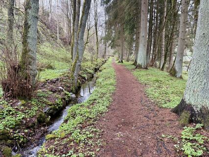 Foto von Norbert Herbig entlang der Tour