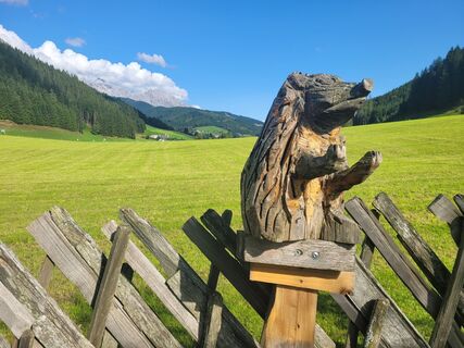 Foto von mmecki entlang der Tour