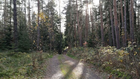 Von Bucha zur Klinkhardtshöhe und Gustavs Ruh