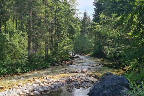 Entlang der Grimming geht es Richtung Gnanitzalm