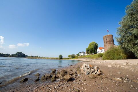 Niedrigwasser an der Rheinpromenade