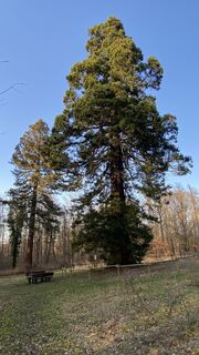 Fotografia z Rupert Hoeppe na trase