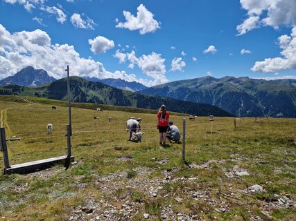 Foto von Anke H. entlang der Tour