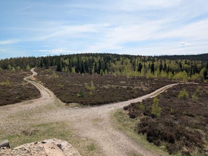 Foto von Floppy 1 entlang der Tour