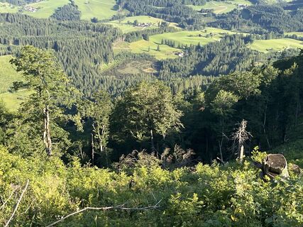 Fotografija s spletne strani Helmut Wieseneder na poti