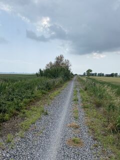 Fotografia z Gianberto Zilli na trase