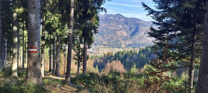 Foto von Gerhard Wasinger entlang der Tour