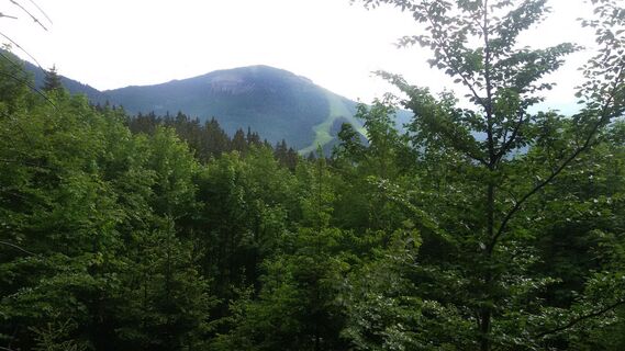 Blick auf den Kleinen Ötscher