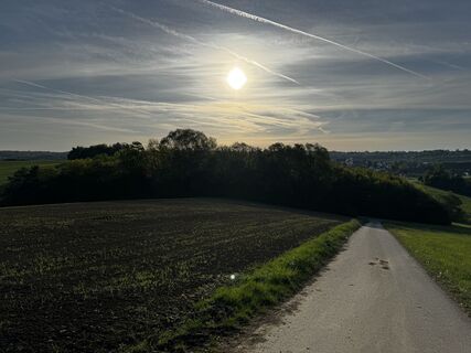 Photo de Schaali le long du parcours
