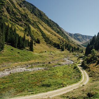 Falmenboden