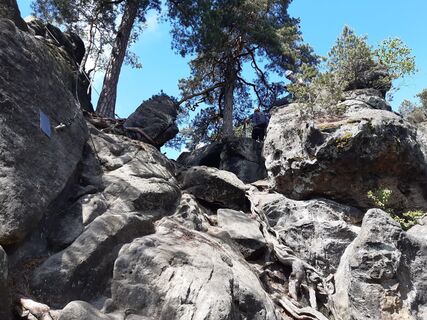 Photo from nordbergschnecke along the tour