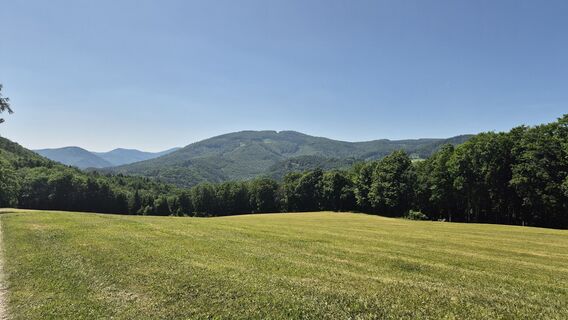 Fotografia z Claudia Maurer na trase