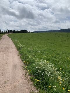 Foto de Kristina  1 a lo largo del recorrido