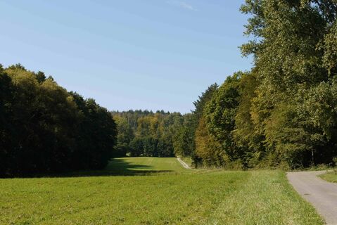 Ni2 - Haselbachtal