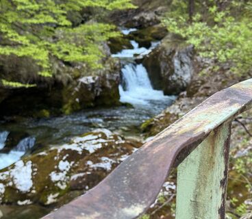 Foto von Natur_erleben_dg entlang der Tour