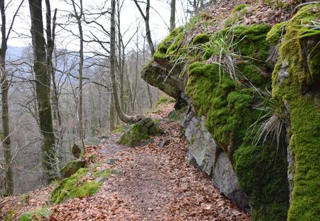 Der Urgraben am Gullerbühl