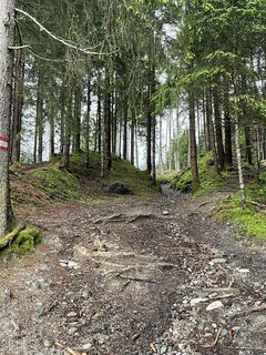 Photo de Simon Zelder le long du parcours