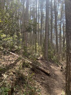 Zdjęcie z Mario Spalinger wzdłuż trasy