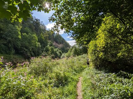 Photo de Oliver Maier 1 le long du parcours
