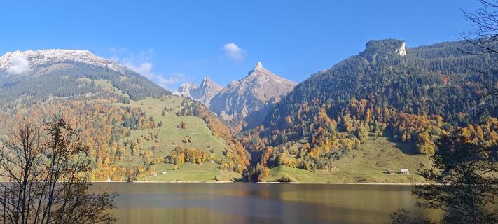 Photo de deniuru le long du parcours