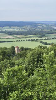 Foto von Sauerpurzel entlang der Tour