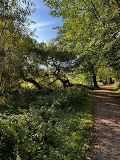 Foto von Marcel entlang der Tour