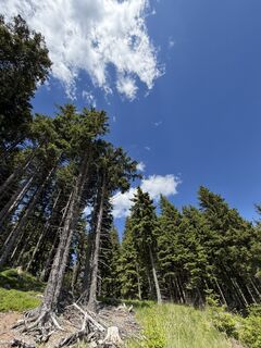 Fotografija s spletne strani Tamás Ónodi na poti