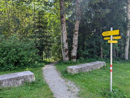 Scheffau_Kneippweg_Eingang_Sommer