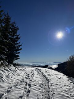 Photo de Susanne le long du parcours