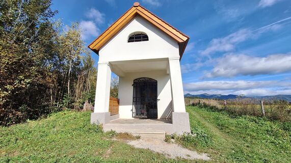 Fotografia z Regina Fleischmann na trase