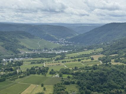 Foto von Mario Schmidt entlang der Tour
