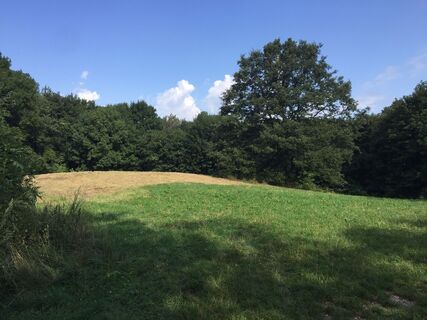 Foto von Christoph Rosse entlang der Tour