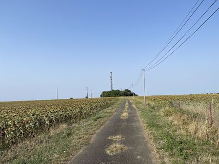 Photo de Cyril Gruel le long du parcours