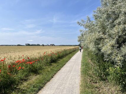 Fotografija s spletne strani Sebastian Schlesier na poti