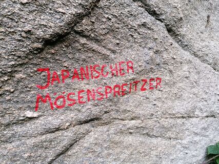 Foto von Wanderfux entlang der Tour