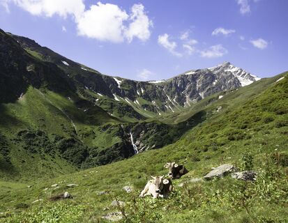 Bei der Alp Cavel