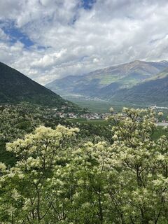 Foto från Peter Schäfer under resans gång