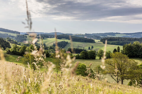 Aussicht beim Gipfeltrail