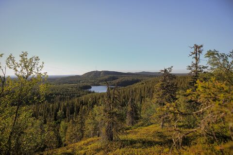 Blick auf das Skigebiet Ruka vom Pyhän Jyssäys Wanderweg