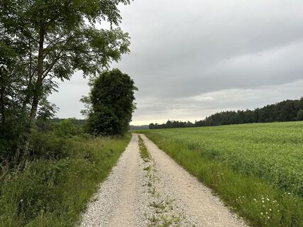 Foto von justasimpleguy entlang der Tour